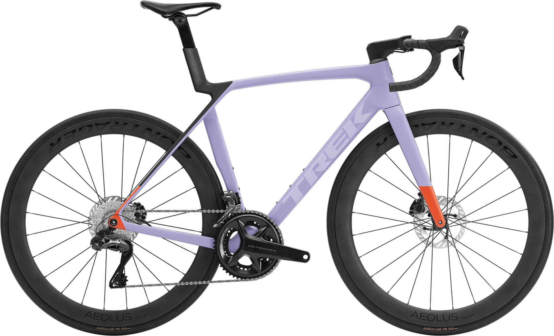 PURPLE / M