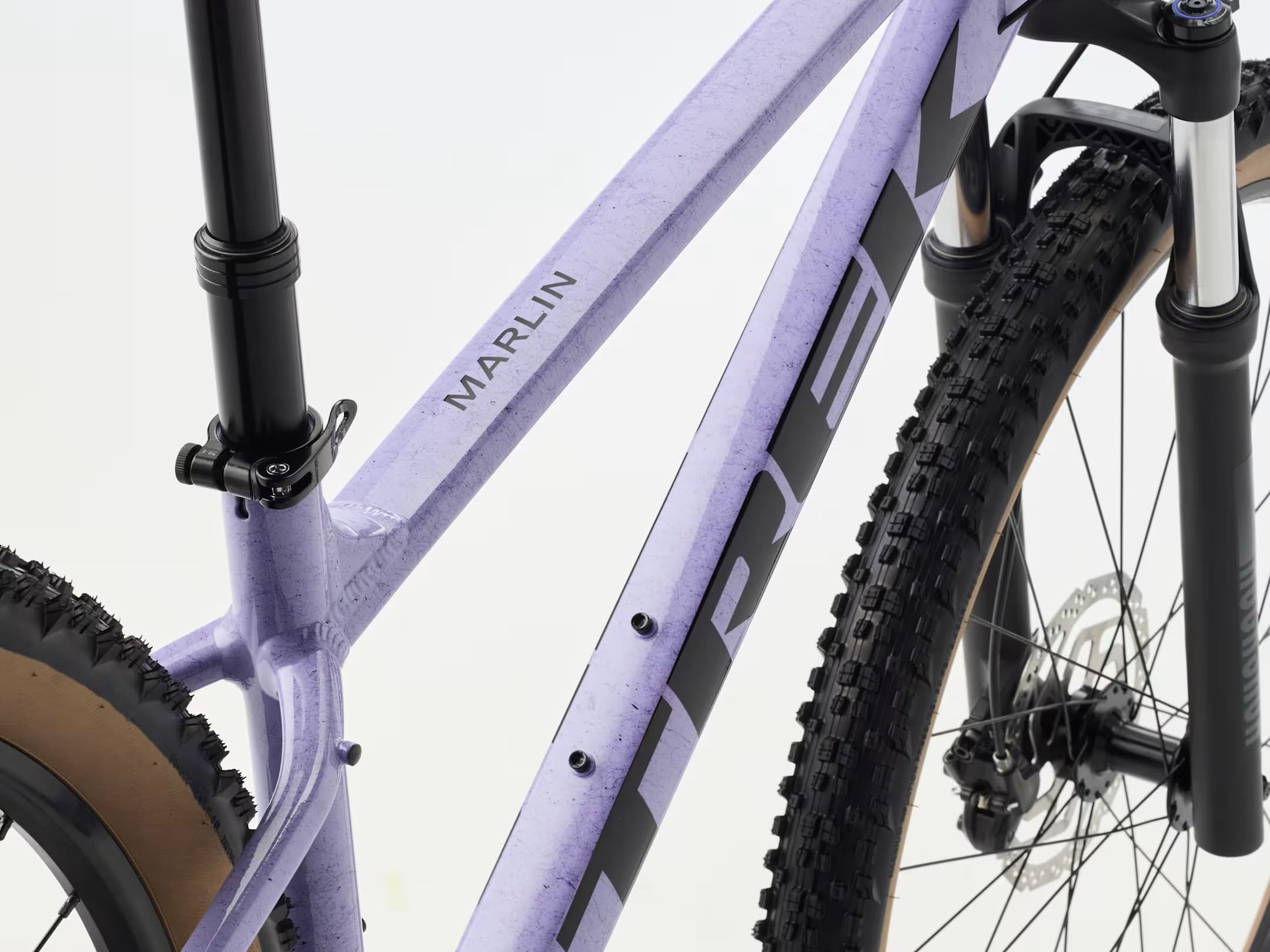 S / PURPLE
